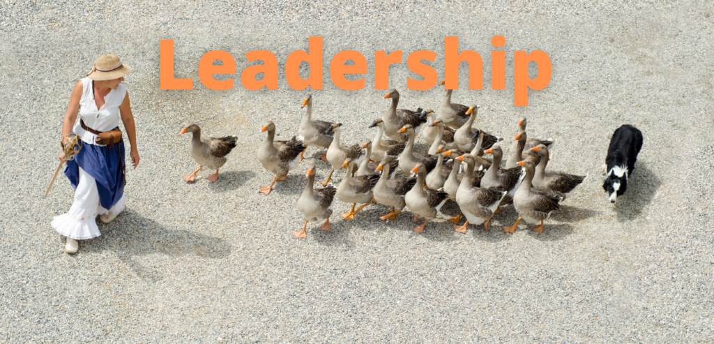 leadership