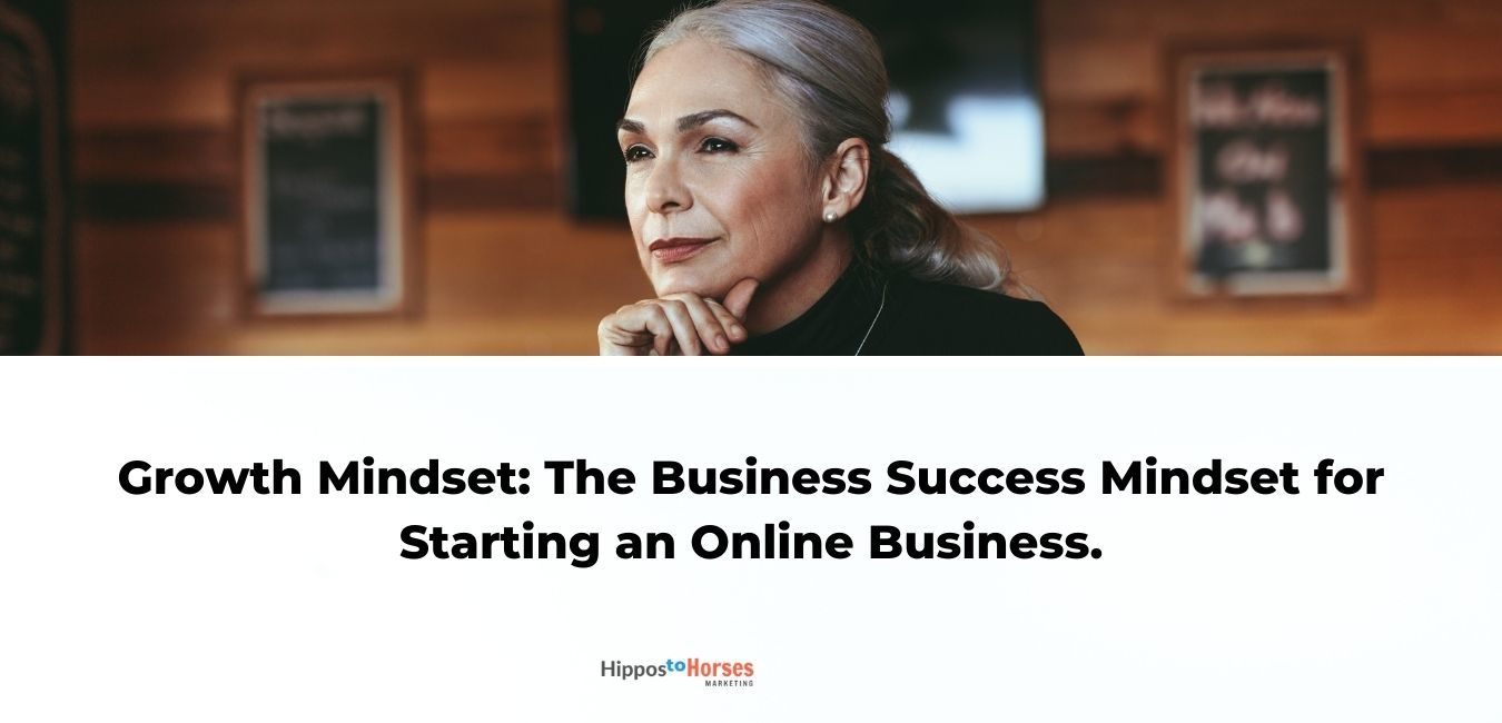 hippos to horses marketing blog on the Mindset you need to start an online business