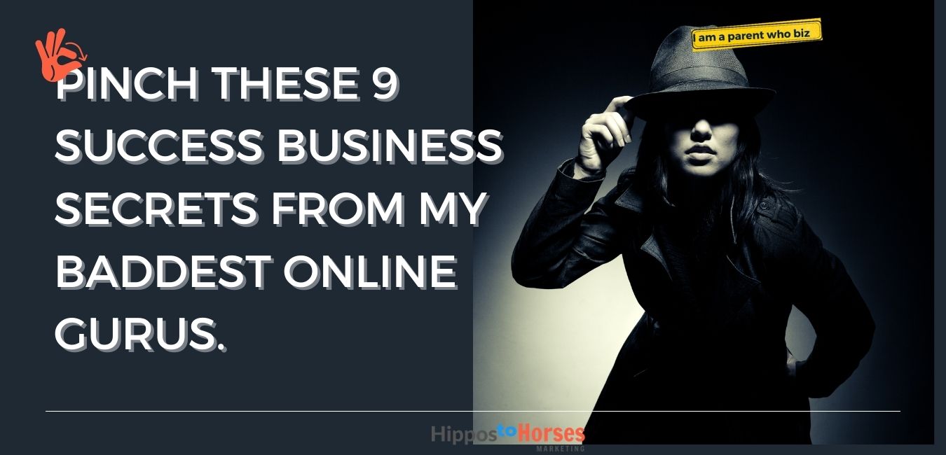 Hippos to Horses Marketing Pinch these 9 Success Business Secrets from My Baddest Online Gurus.