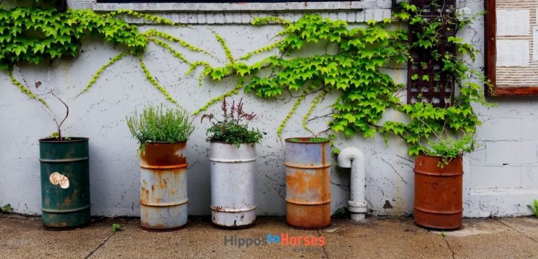 Hippos to Horses Marketing All You Need to Know About Re-purposing Social Media Content on Pinterest to Grow Your Online Business