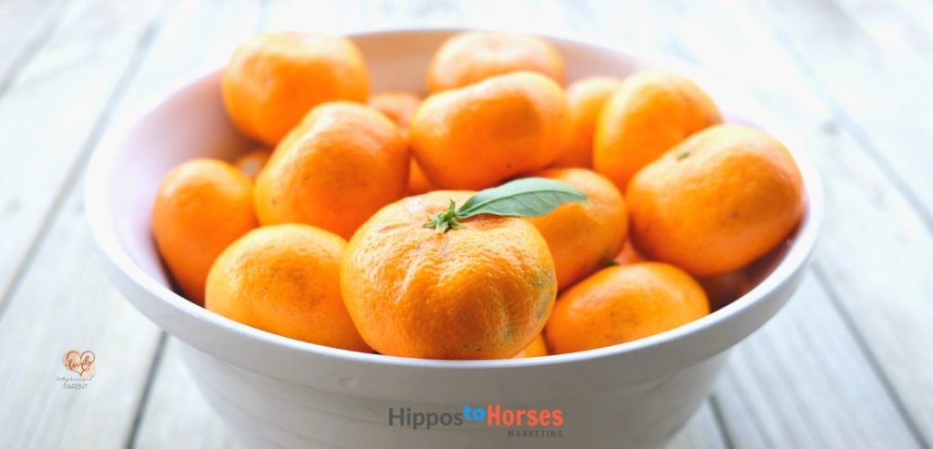Hippos to Horses Marketing